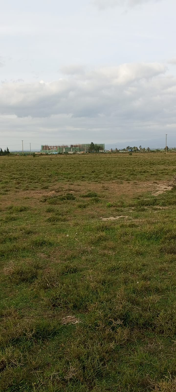 Serene Gardens – plots for sale in Nanyuki