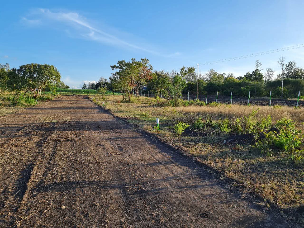 Tulivu  3 – plots for sale in Murang'a