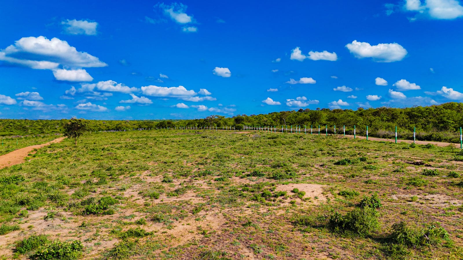 Olive Gardens Matuu – plots for sale in Matuu